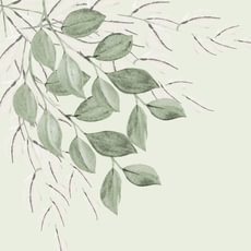 Gimtadienio kvietimai su gamtos motyvais